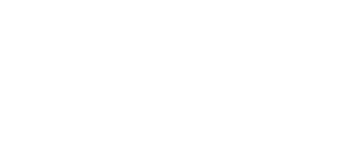 renegade logo