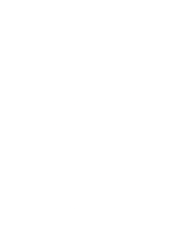 daisybeck-studios logo